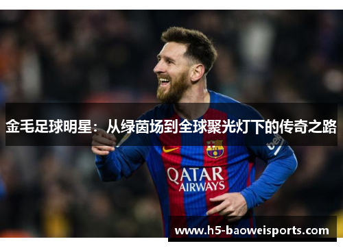 金毛足球明星:从绿茵场到全球聚光灯下的传奇之路 金毛足球明星:从绿茵场到全球聚光灯下的传奇之路